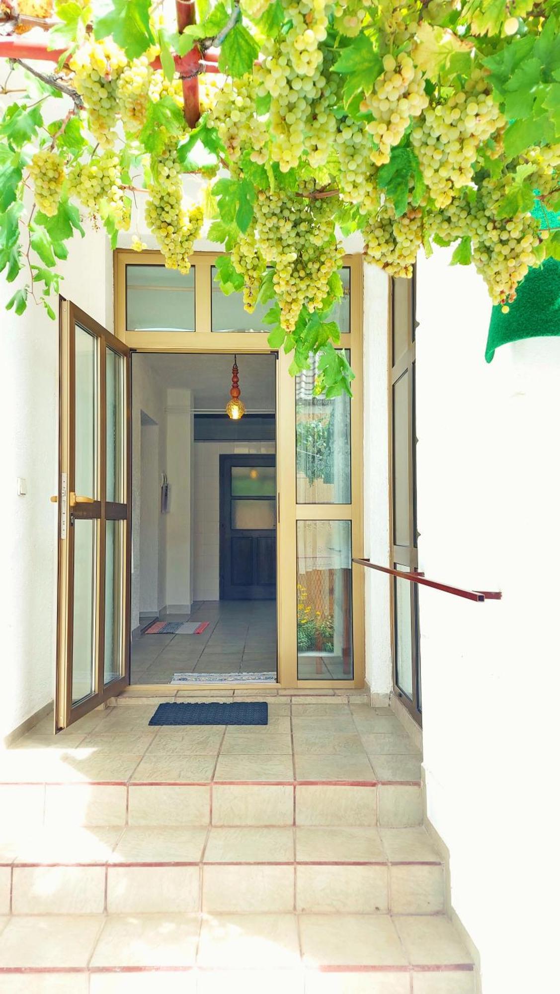 Holiday House With Seaview Senj  Esterno foto